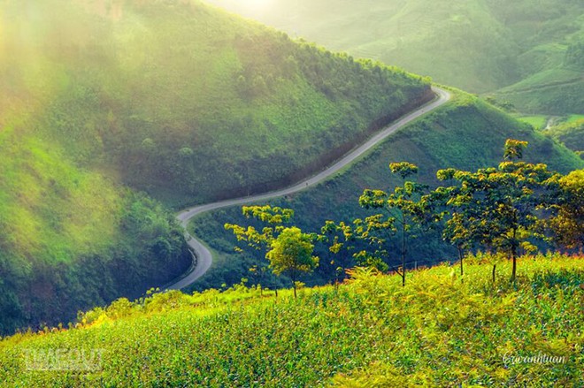 [-]Ngắm[-]những[-]thiên[-]đường[-]có[-]thật[-]ở[-]Việt[-]Nam